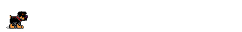 rotik.gif (18960 bytes)