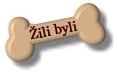 zilibyli.GIF (5026 bytes)