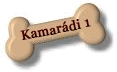 kamaradi1.GIF (5095 bytes)